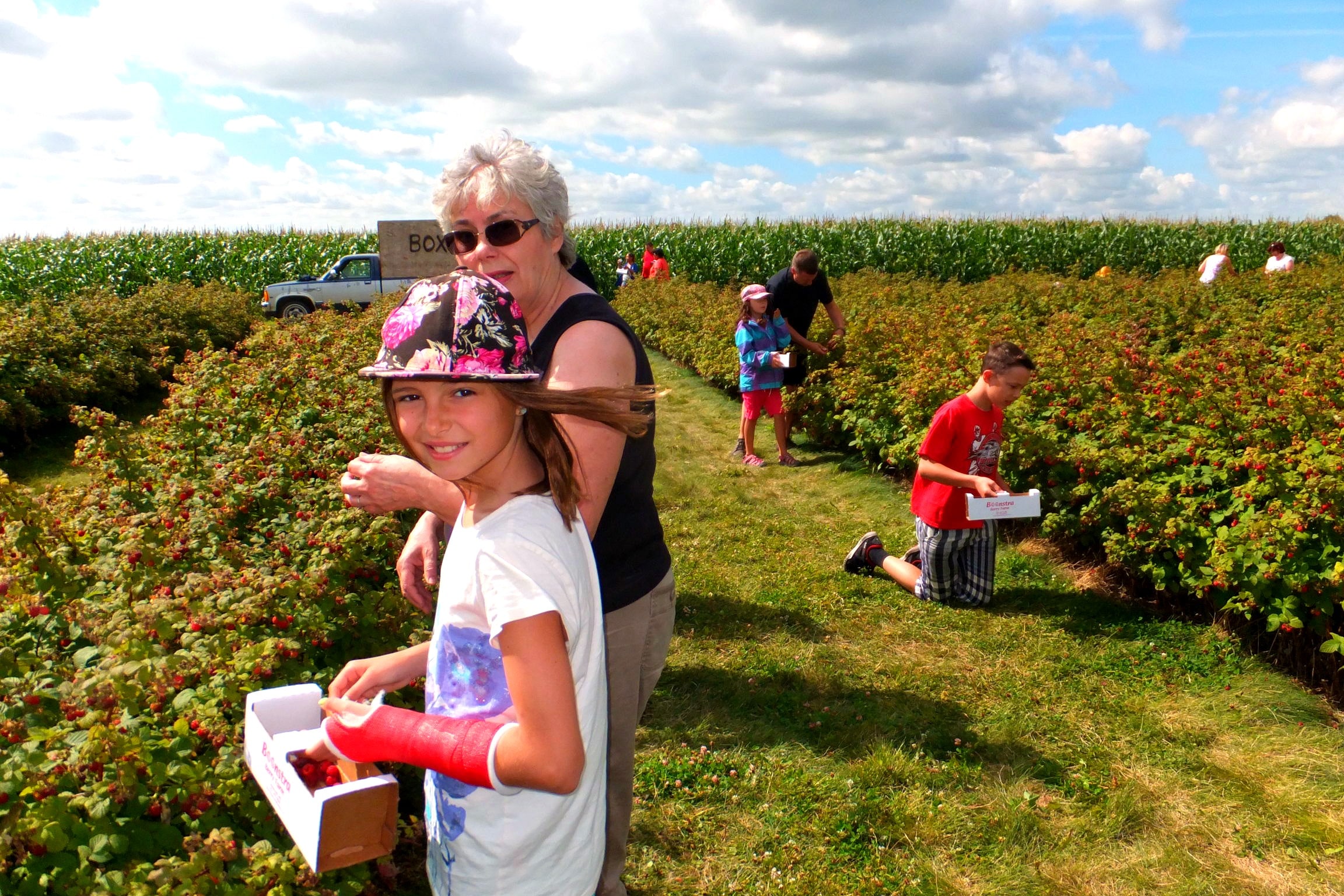 berry picking Food Meanderings