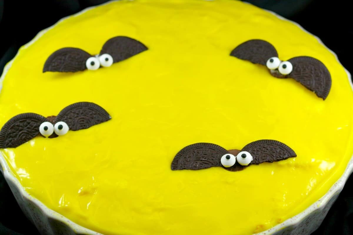 Inside out Boston Cream pie with bats | no bake