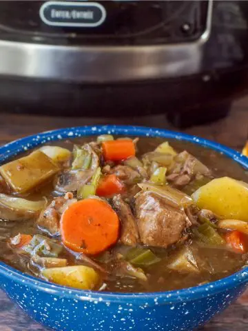 slow cooker beef stew in a blue bowl with slow cooker in the background