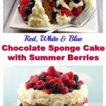 Red, White & Blue Chocolate Sponge Cake | 4th of July - foodmeanderings.com