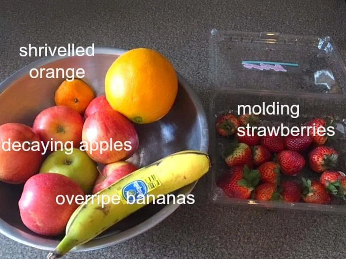 overripe fruit in a bowl and spoiling strawberries in plastic container on counter