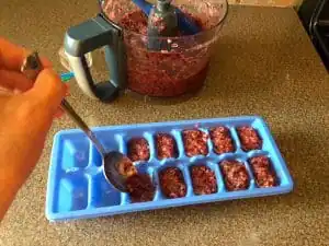 Fruit popsicle making step 5- spoon into ice cube trays (or popsicle molds)