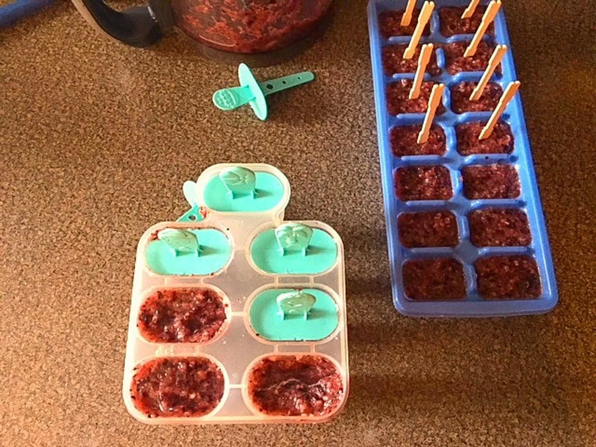 popsicle making -popsicles in ice cube tray and in popsicle mould
