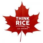 USA think rice logo