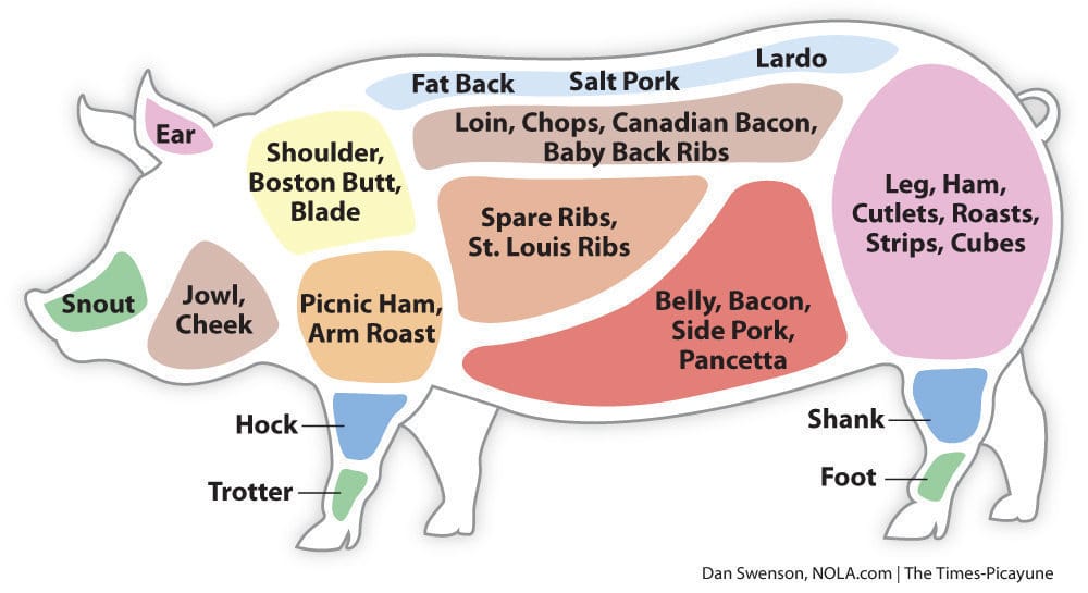 a colored diagram of a pig indicating the different cuts of pork