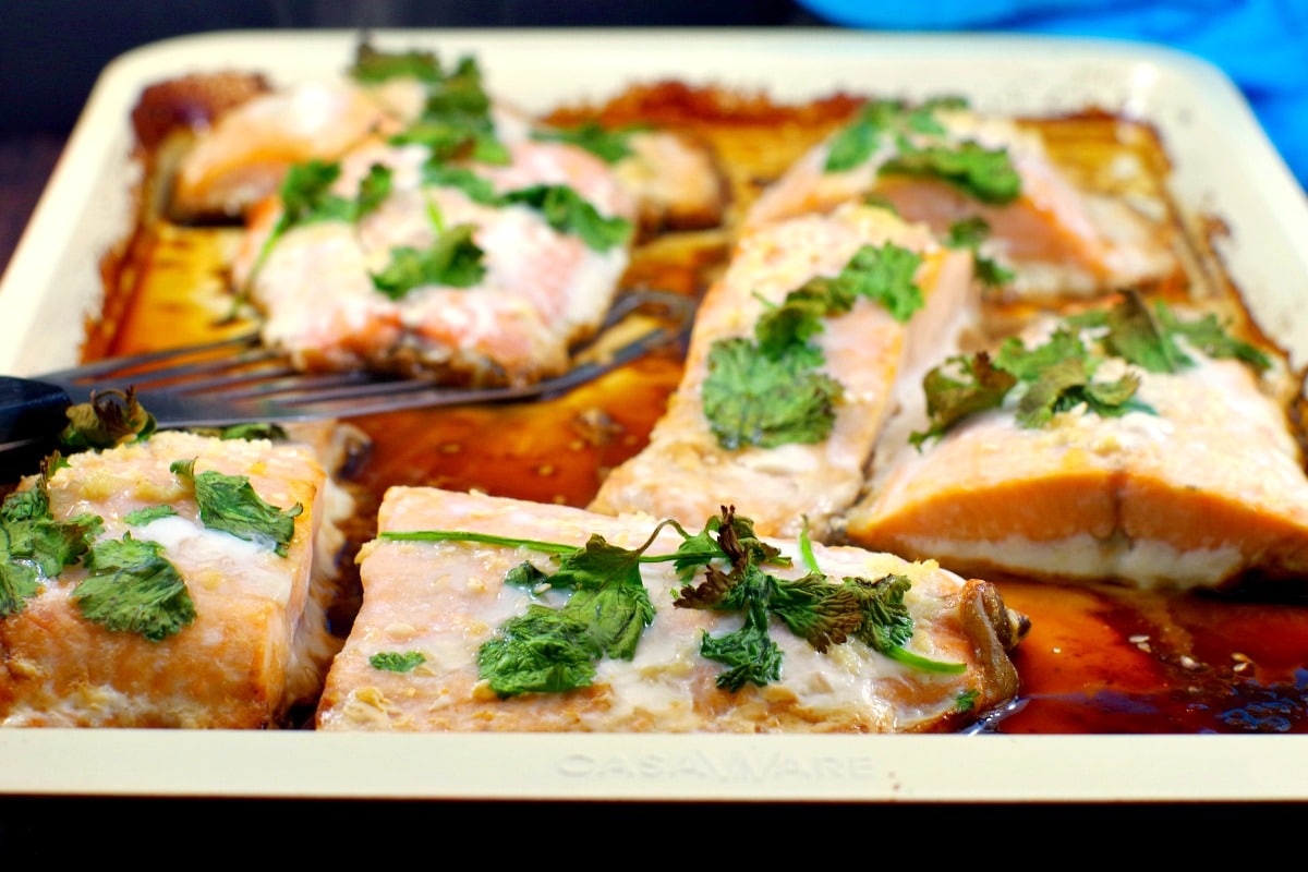 cooked Frozen salmon fillets on sheet pan with soya sauce, cilantro and sesame seeds