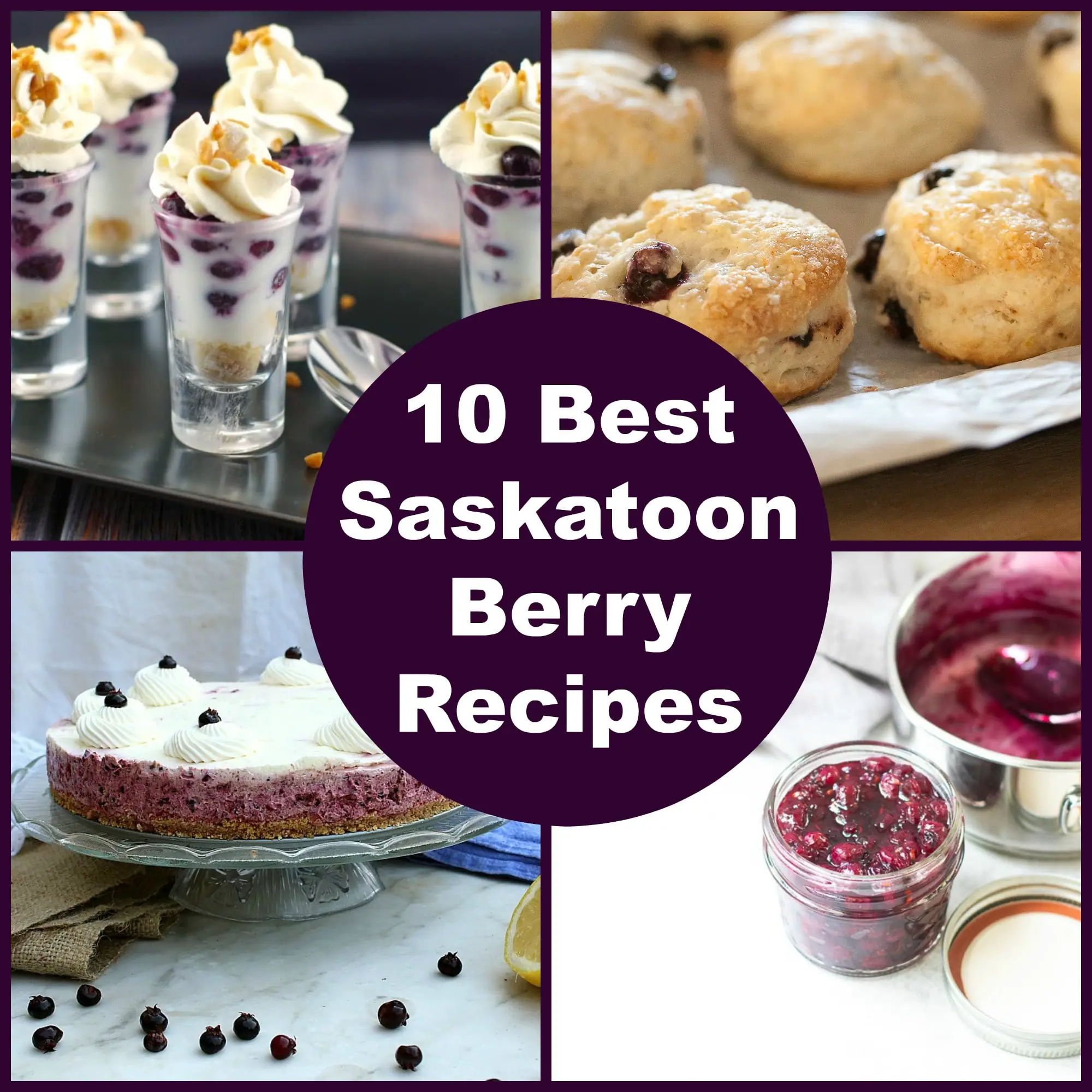 Collage of Saskatoon Berry Recipes