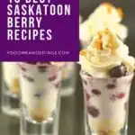 text with saskatoon berry shooters recipe
