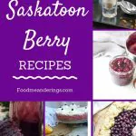 Collage of Saskatoon Berry Recipes