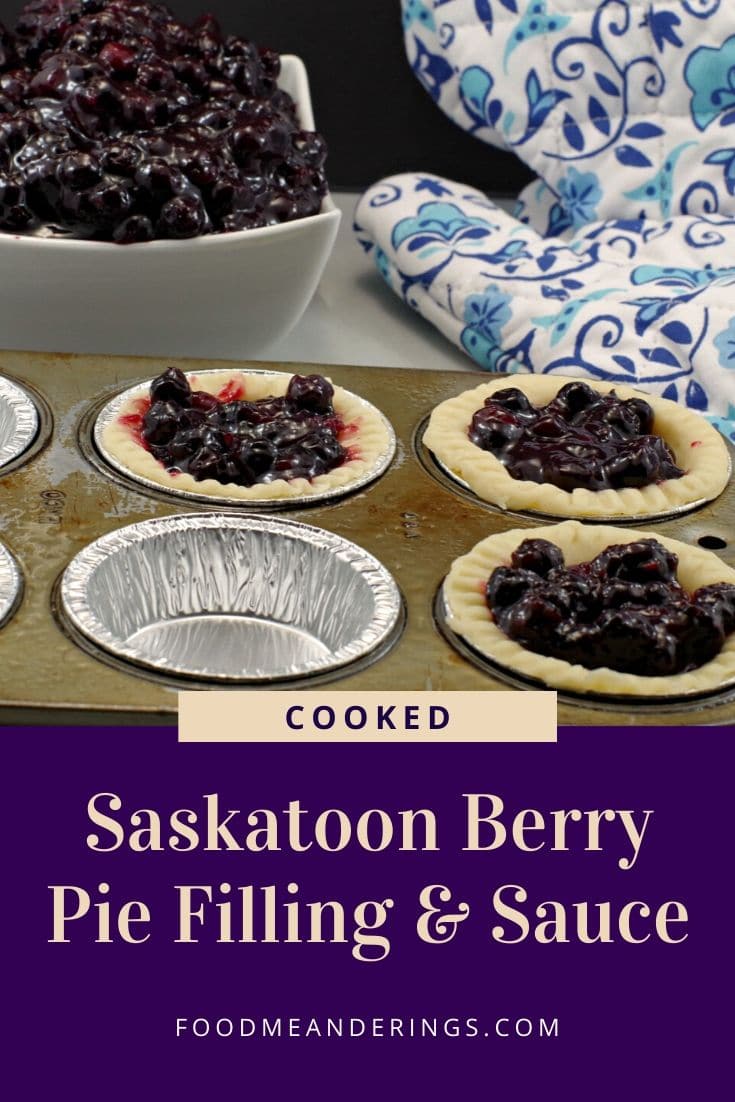 Saskatoon Berry Pie Filling and Sauce Food Meanderings