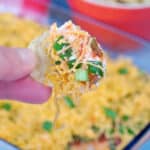 tortilla chip being dipped into cold nacho dip