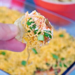 tortilla chip being dipped into cold nacho dip