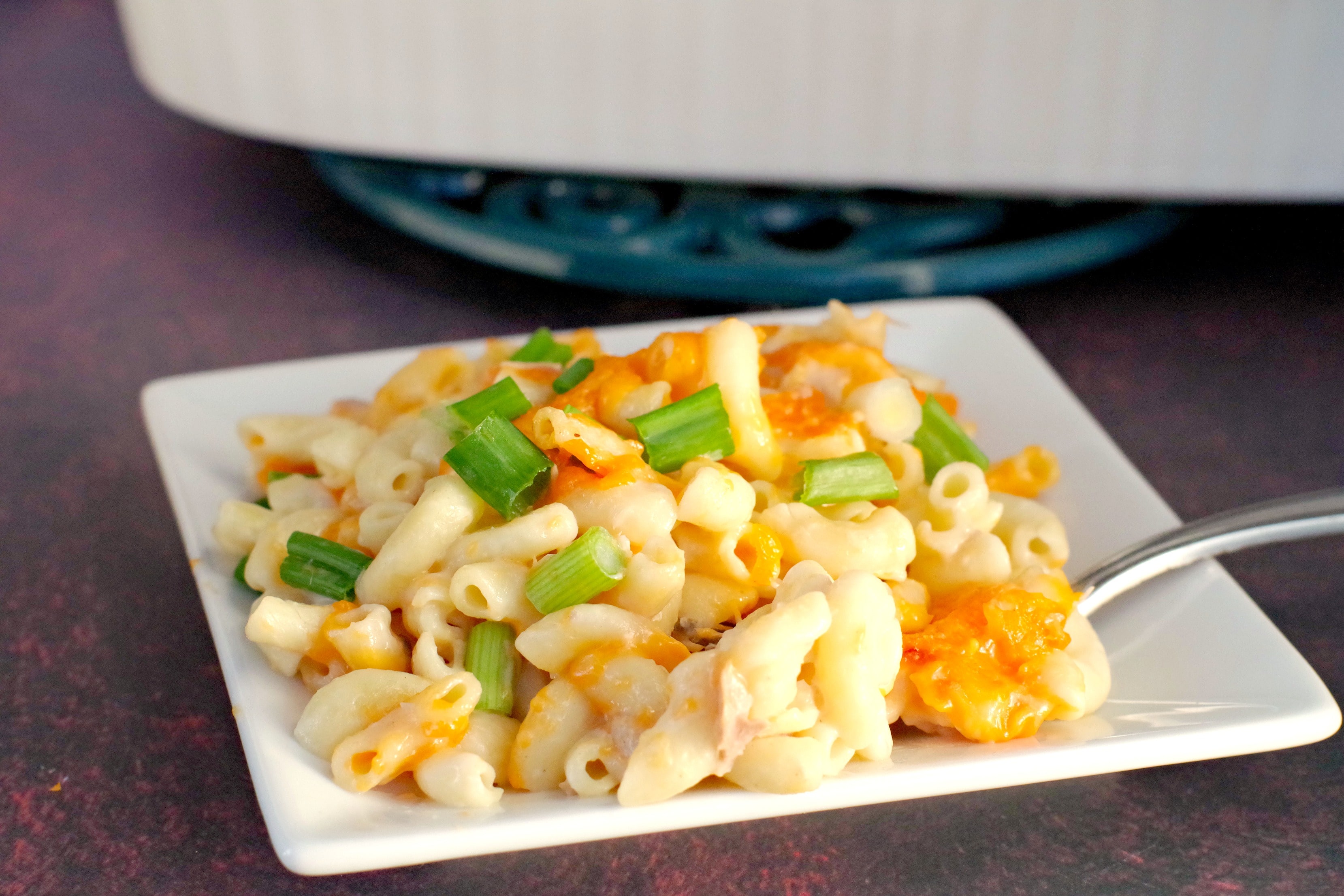 tuna casserole on white plate