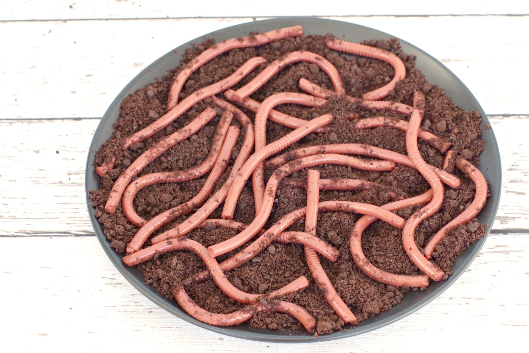 jello worm in dirt (Oreo cookie crumbs) on plate