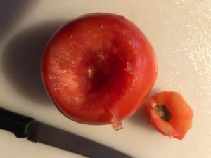 top removed from tomato