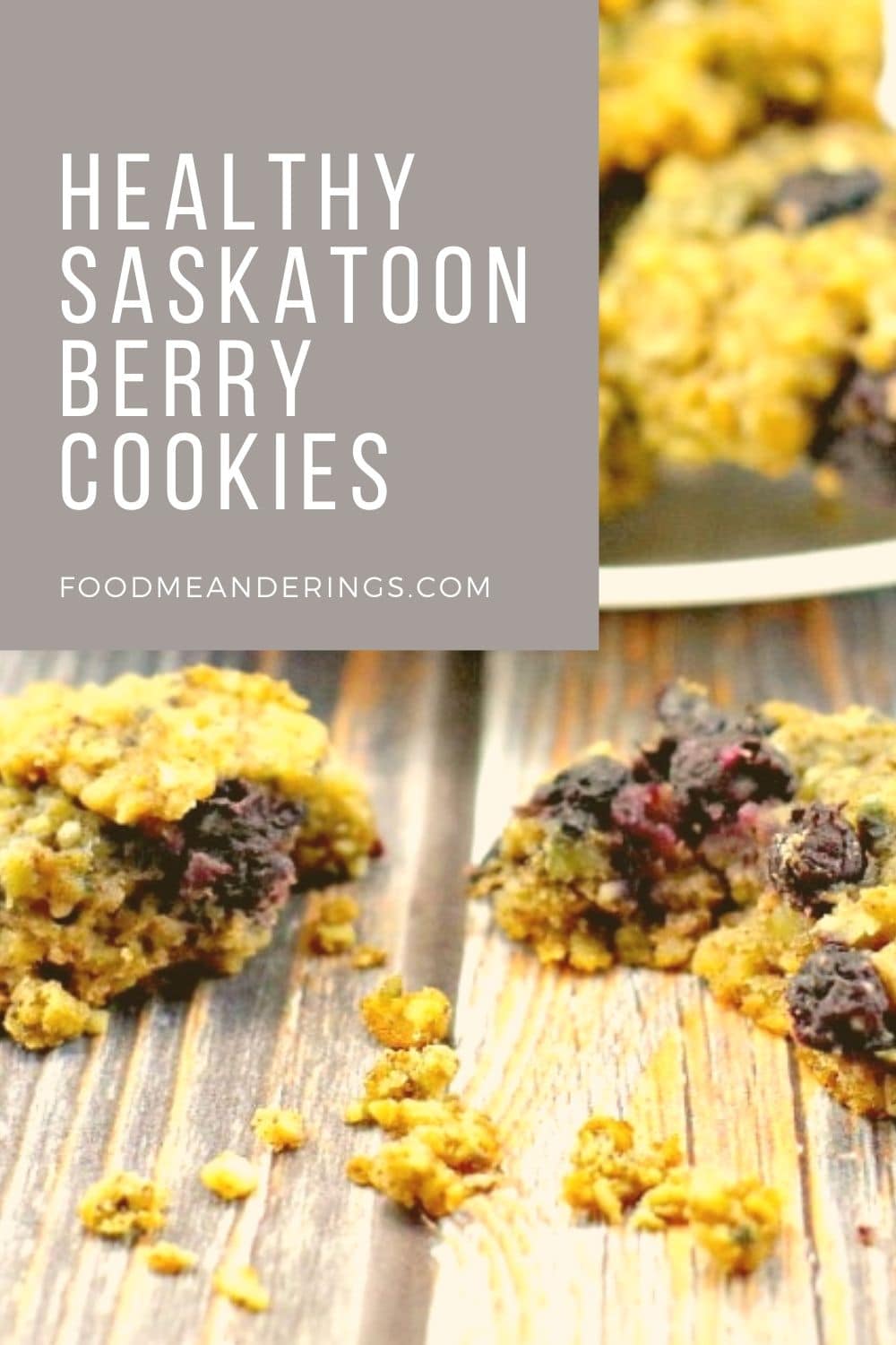 Saskatoon Berry Oatmeal Cookies Food Meanderings