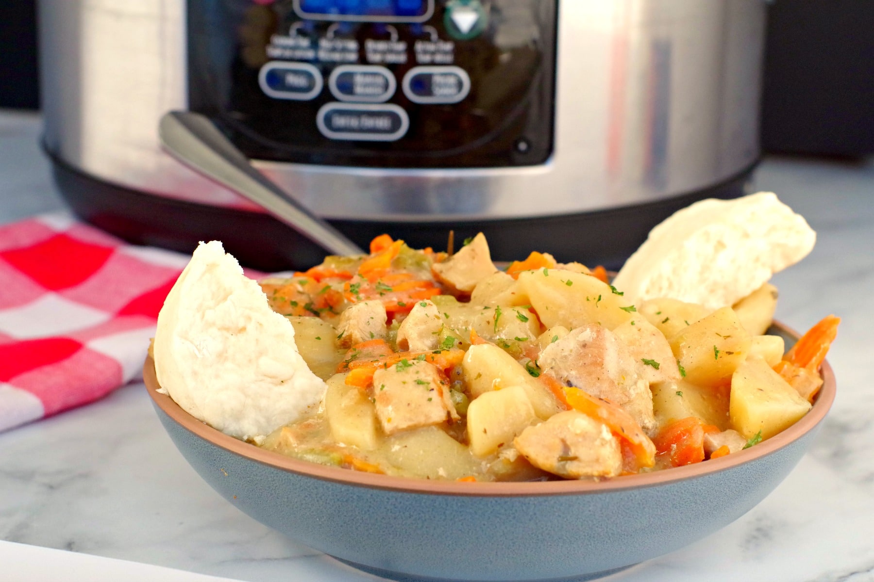 chicken stew in blue bowl with slow cooker in the background