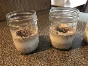 oats, chia and milk in jars