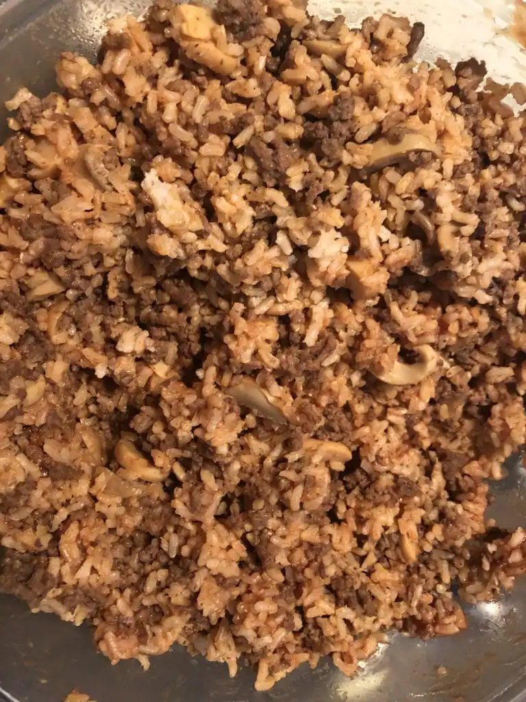 meat and rice mixture