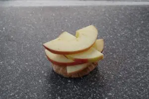 apple slices placed on pita, overlapping and slightly twisted