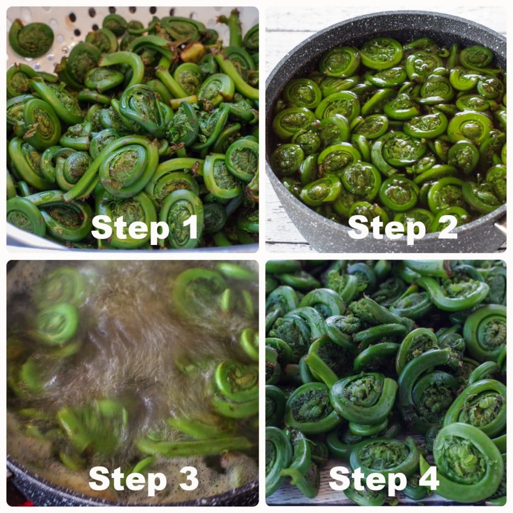 collage of 4 photos of fiddleheads being cooked