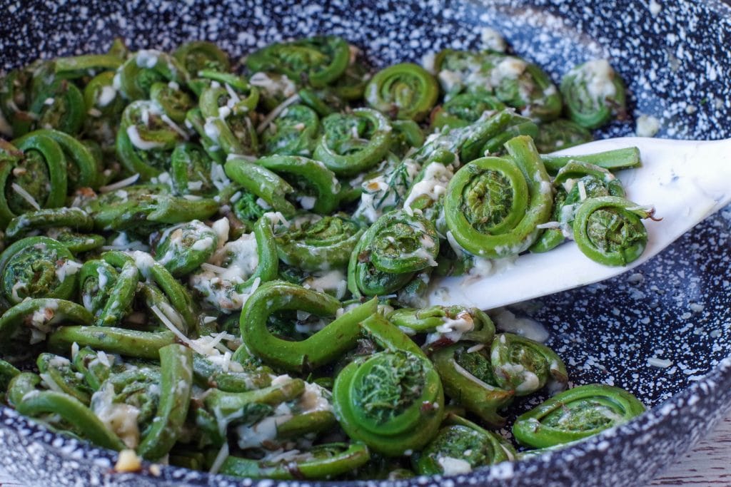 Cheesy Sauteed fiddleheads in a pan with a white spatula