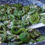 Cheesy Sauteed fiddleheads in a pan with a white spatula