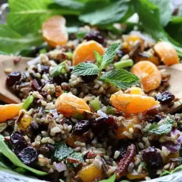 mandarin wild rice salad in bowl with green background