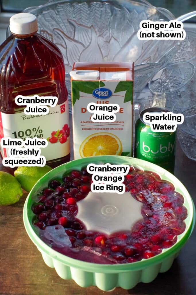 ingredients in Cranberry Christmas brunch punch labelled