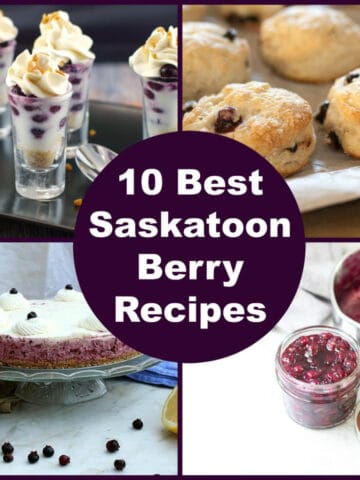 Collage of 4 photos of Saskatoon Berry Recipes