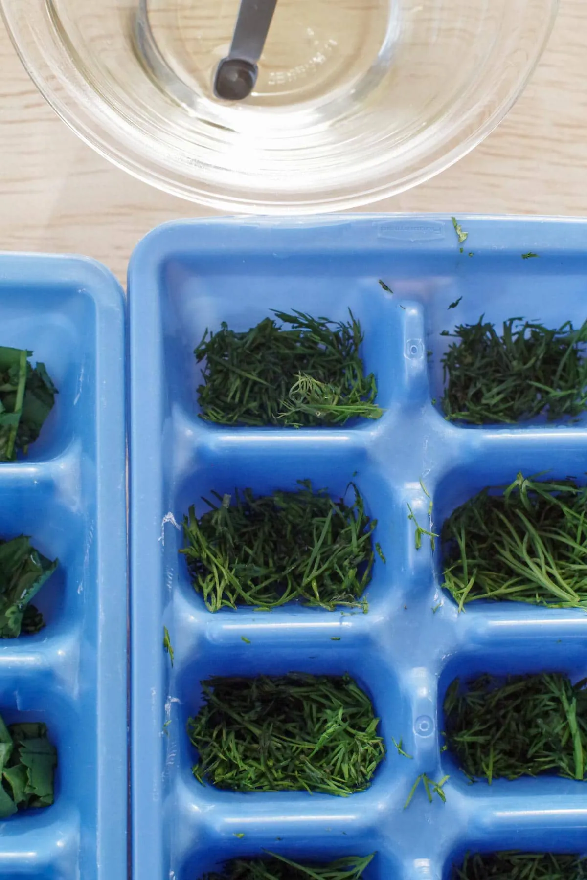 herbs chopped up in ice cube trays with dish of oil in the background