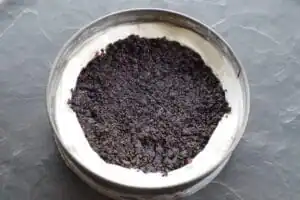 Oreo cookie crumbs mixture in middle of ice cream cake