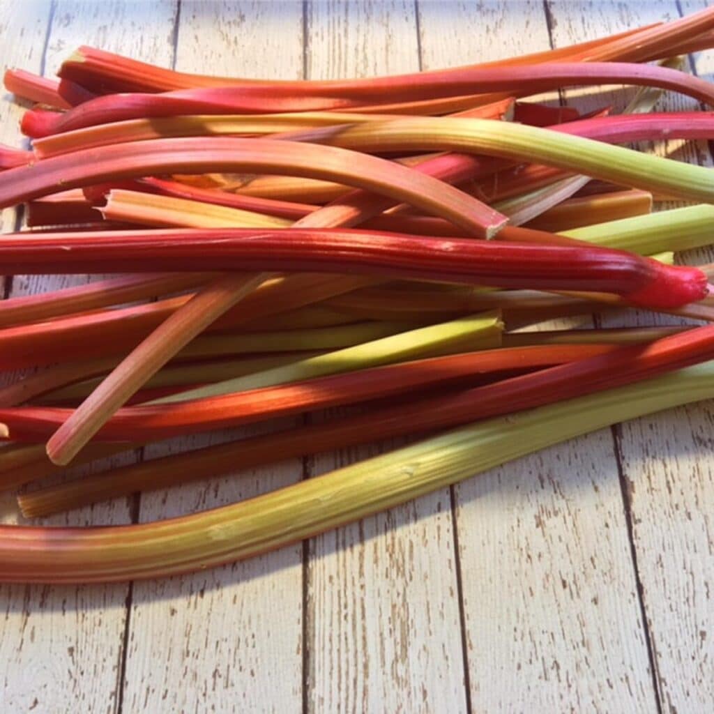 rhubarb stalks in a pile on a white faux wooden surface