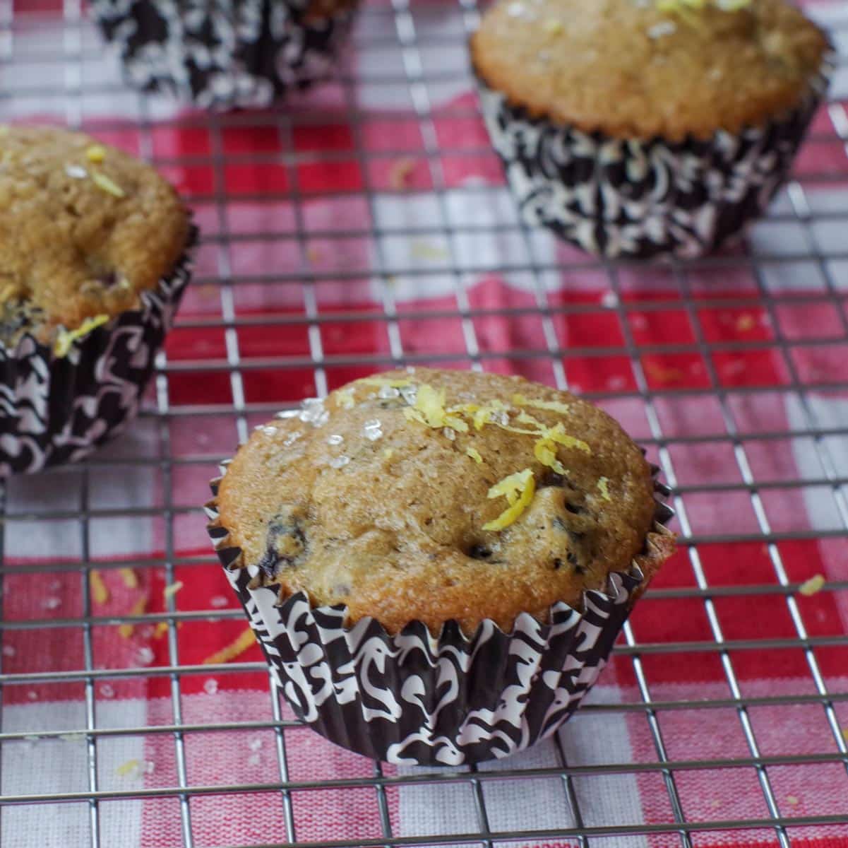 Healthy Fruit and Oat Bars dairy, nut and sugarfree Food Meanderings