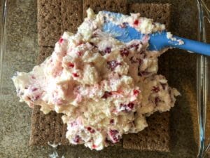 pudding, sour cream and raspberry mixed together and added on top of graham crackers
