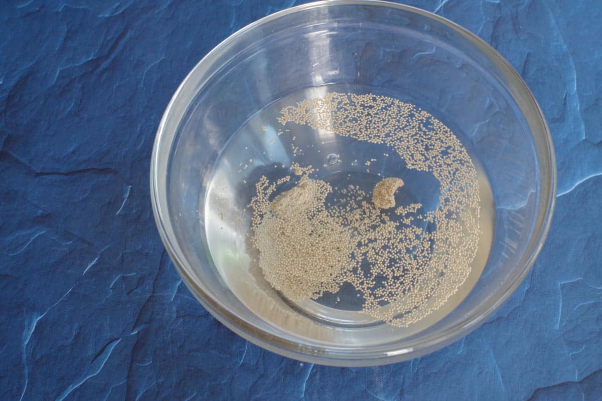 yeast in bowl with dissolved sugar and warm water