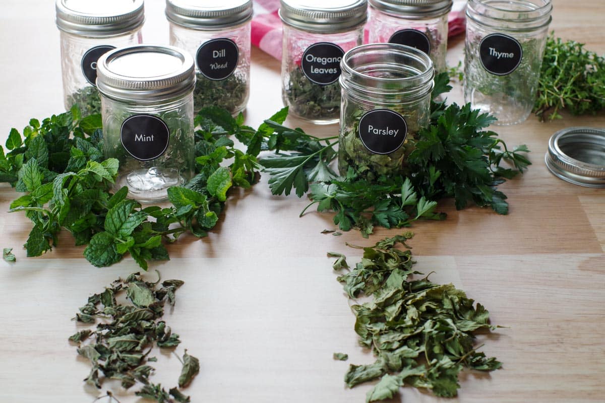 fresh herbs and jars of dried herbs and dried herbs in front of jar