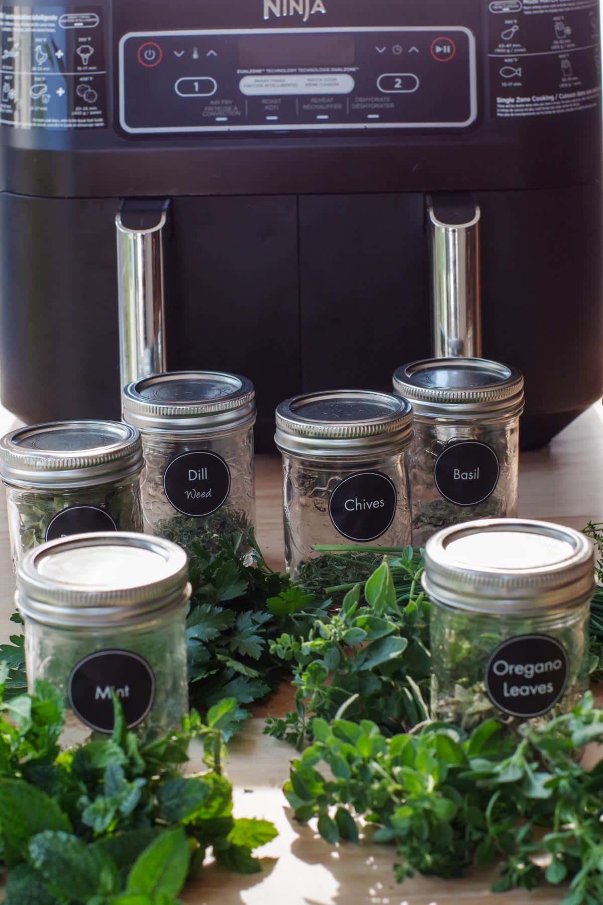 How to Dehydrate Herbs in the Air Fryer Food Meanderings