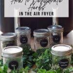 pin with photo of herbs and jars and ninja foodi air fryer in background