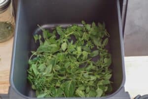 oregano leaves in air fryer drawer