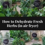 top image is fresh herbs and labelled jars and bottom image is some fresh herbs with dehydrated herbs.