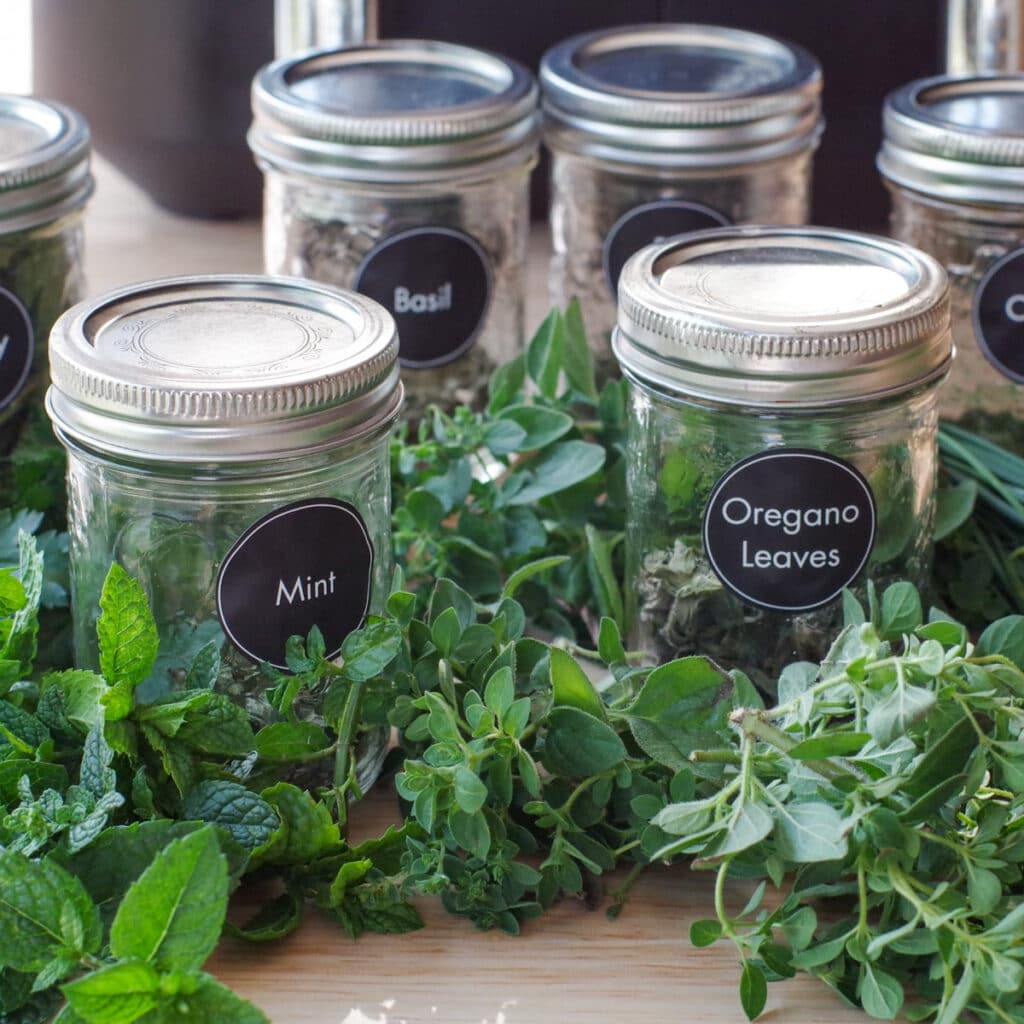 how-to-dehydrate-herbs-in-the-air-fryer-food-meanderings