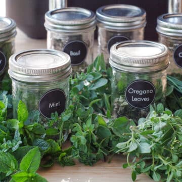 How to Dehydrate Herbs in the Air Fryer - Food Meanderings