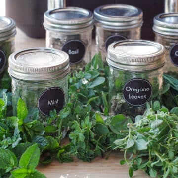 fresh herbs and jars of dried herbs, labelled with black round labels