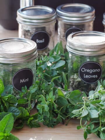 fresh herbs and jars of dried herbs, labelled with black round labels