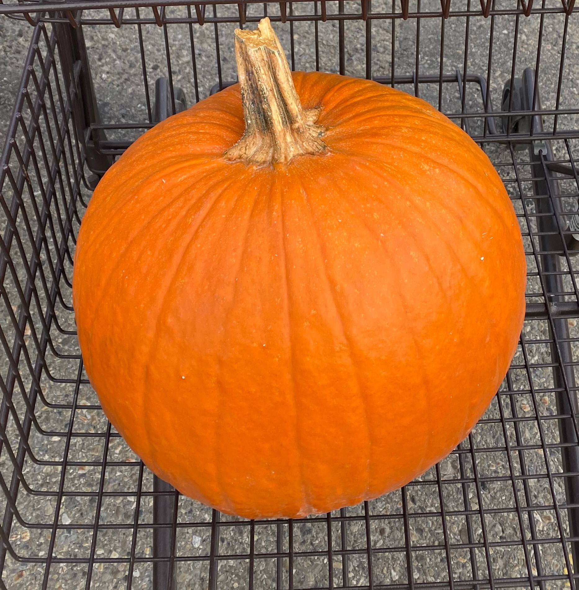 Pumpkin in a grocery cart
