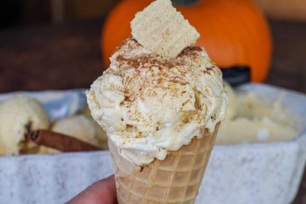 Boo Batter Ice Cream (no churn) Food Meanderings