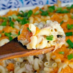 white casserole dish of tuna macaroni casserole being held up on a wooden spoon with blue patterned oven mitt in the background