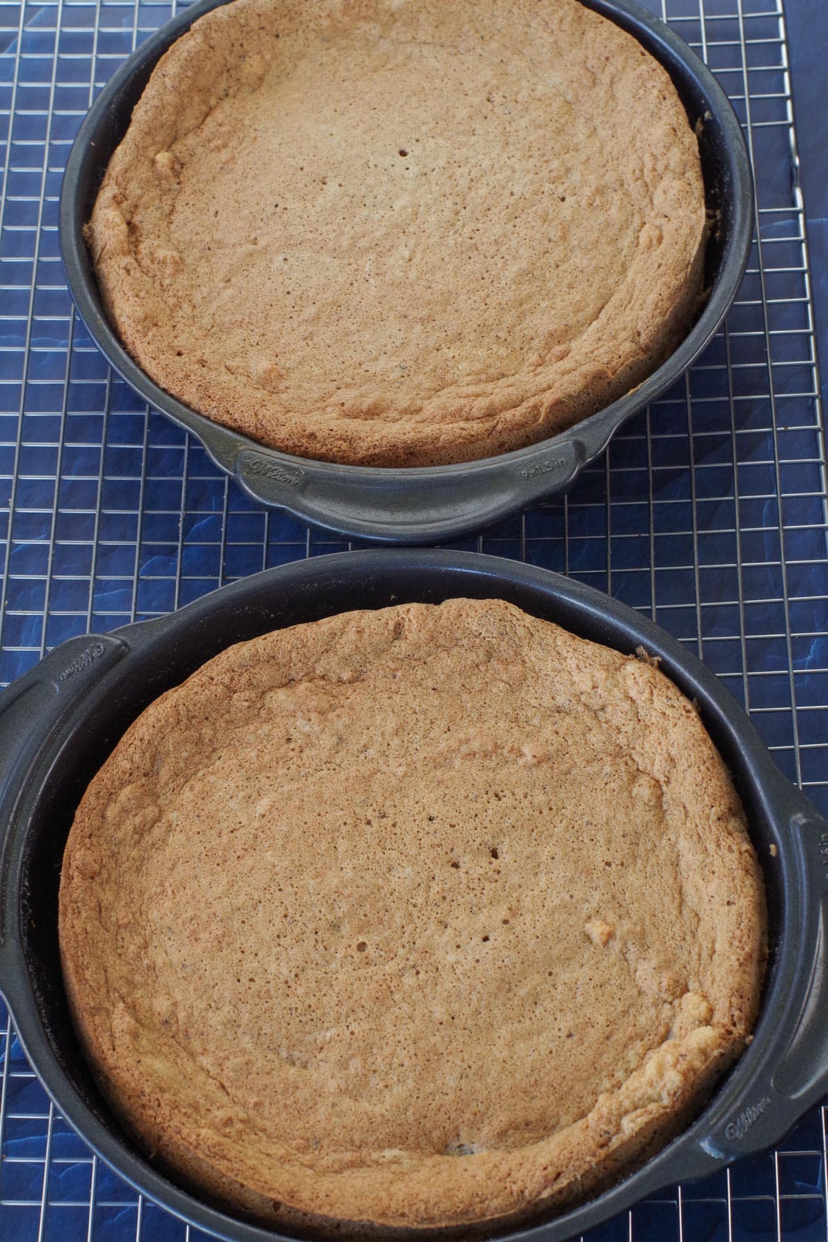2 cooked walnut torte layer cakes in round pans