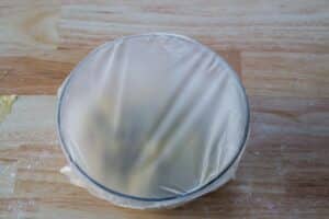bowl covered with saran wrap (press n' seal)
